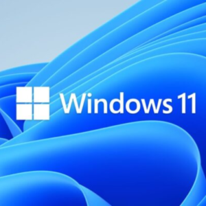 Windows 11 Professional 32/64 Bit